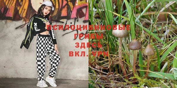 прущие крисы Алексин