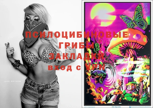 Альфа ПВП Покровск