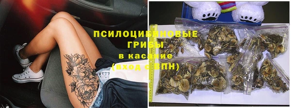 Альфа ПВП Покровск