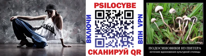 Галлюциногенные грибы прущие грибы mega tor Дедовск